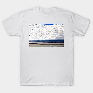 Flocking by the sea T-Shirt